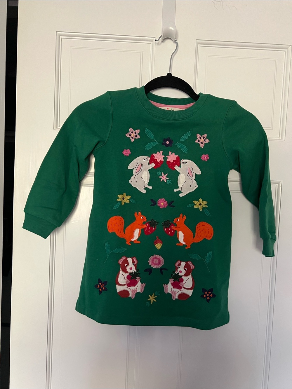 Mini Boden Green Kids Pullover Dress with Animal Embroidery